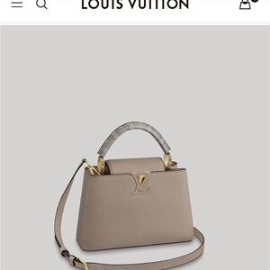 LOUIS VUITTON CAPUCINES PM